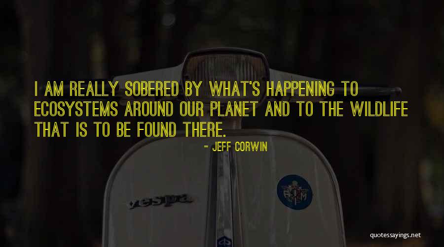 Jeff Corwin Quotes 136163 Jeff Corwin Quotes 136163