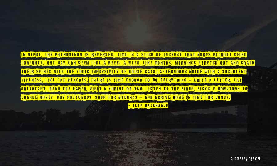 Jeff Greenwald Quotes 1903628 Jeff Greenwald Quotes 1903628