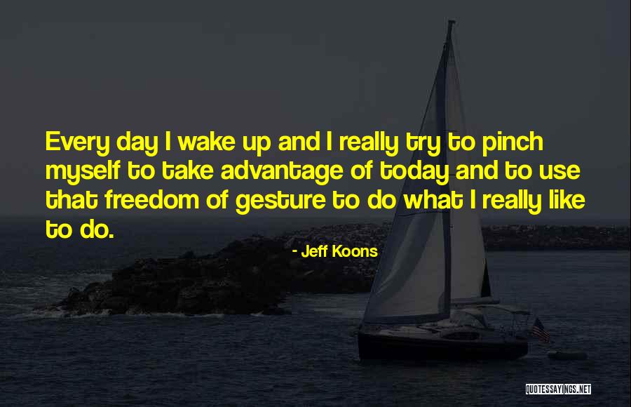 Jeff Koons Quotes 497102