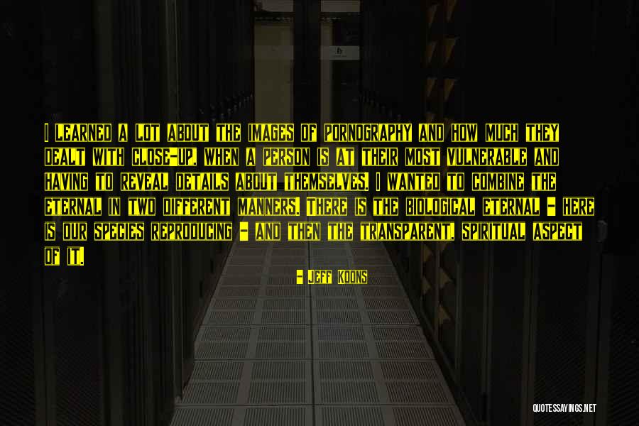 Jeff Koons Quotes 704672 Jeff Koons Quotes 704672