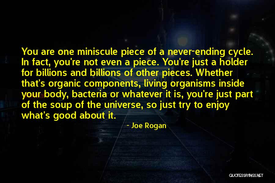 Jeffares Obituary Quotes By Joe Rogan Jeffares Obituary Quotes By Joe Rogan