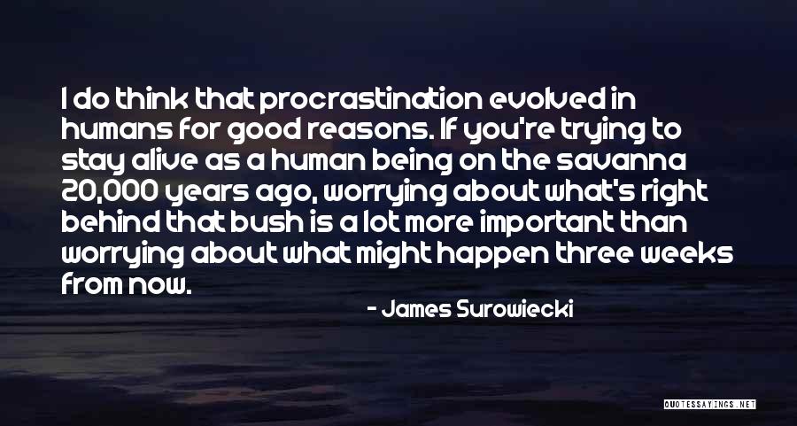 Jeffery Dallas Quotes By James Surowiecki Jeffery Dallas Quotes By James Surowiecki