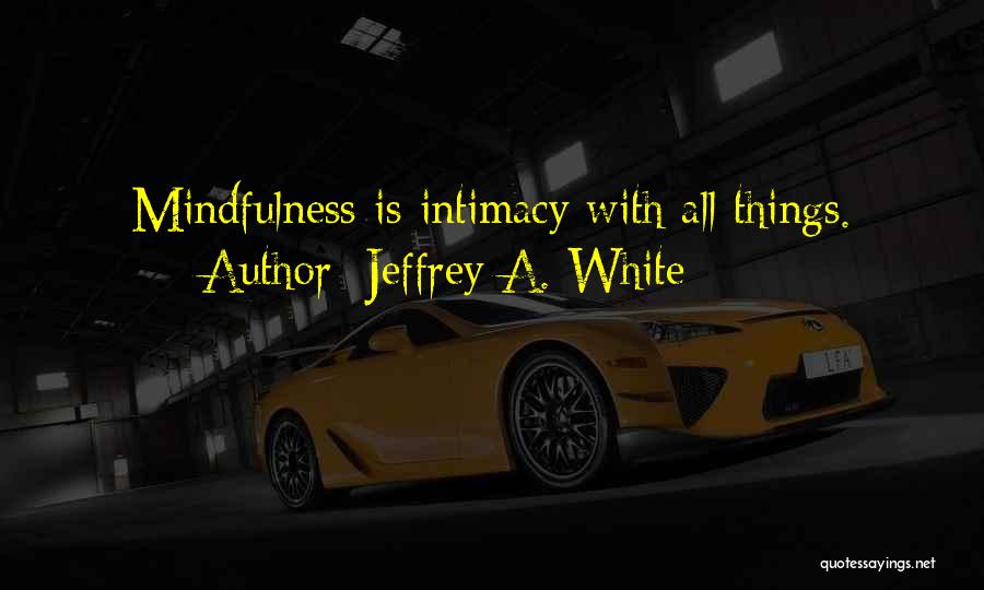 Jeffrey A. White Quotes 1805072