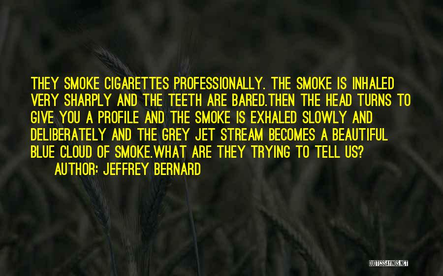 Jeffrey Bernard Quotes 1797092