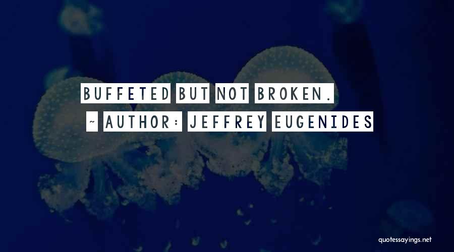 Jeffrey Eugenides Quotes 1008132