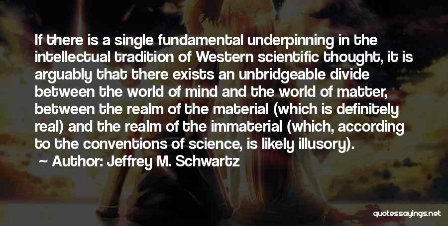 Jeffrey M. Schwartz Quotes 1234659