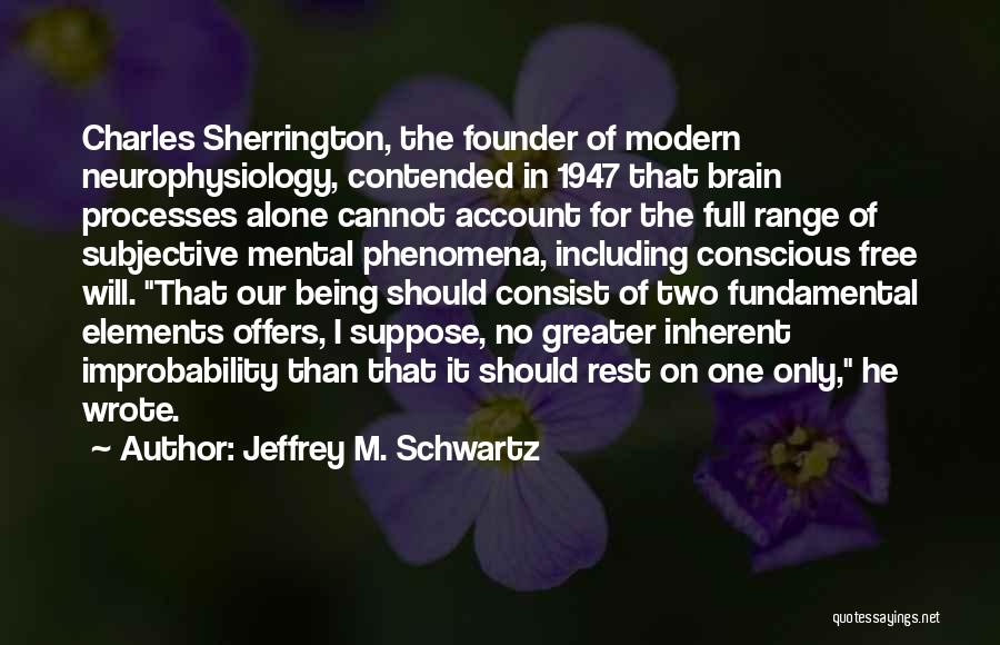 Jeffrey M. Schwartz Quotes 1588909