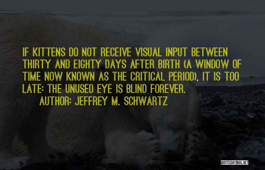 Jeffrey M. Schwartz Quotes 2168992