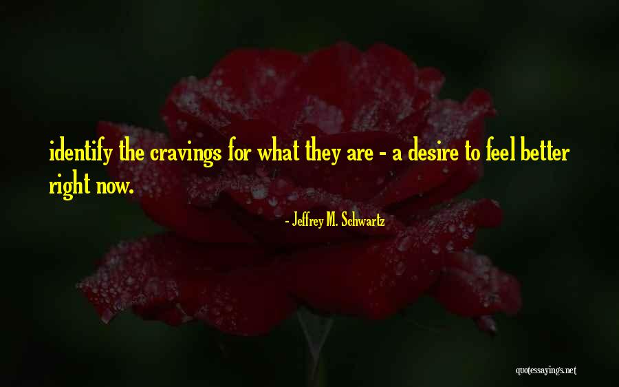 Jeffrey M. Schwartz Quotes 2227546