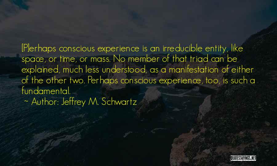 Jeffrey M. Schwartz Quotes 316192