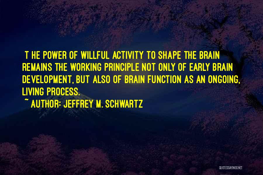 Jeffrey M. Schwartz Quotes 323818