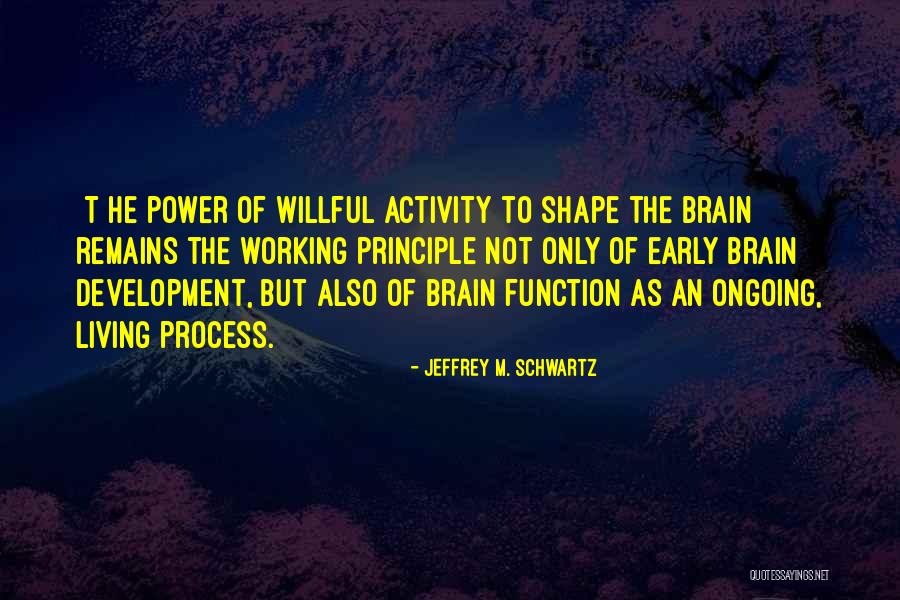 Jeffrey M. Schwartz Quotes 323818