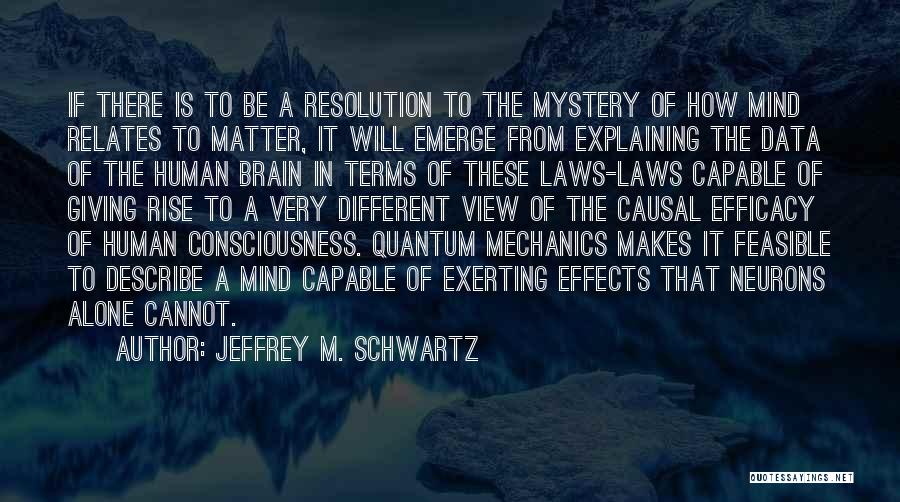 Jeffrey M. Schwartz Quotes 776459