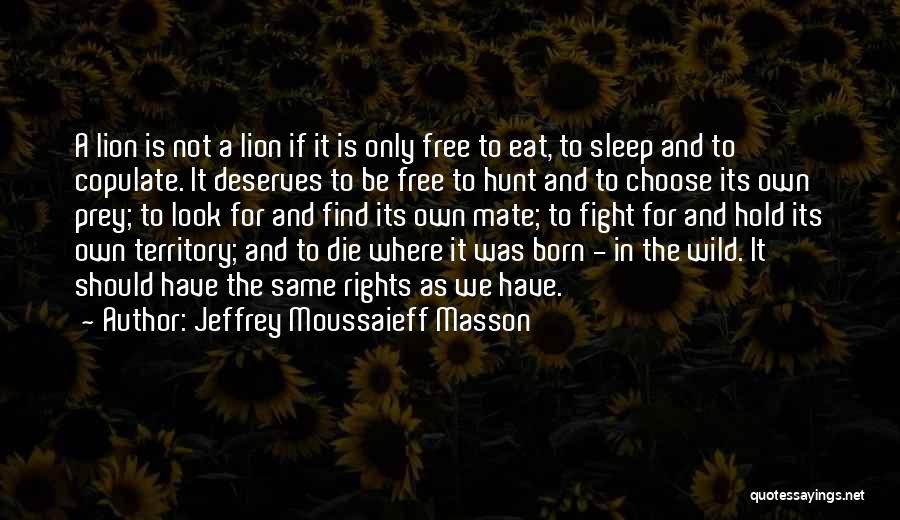 Jeffrey Moussaieff Masson Quotes 1677475