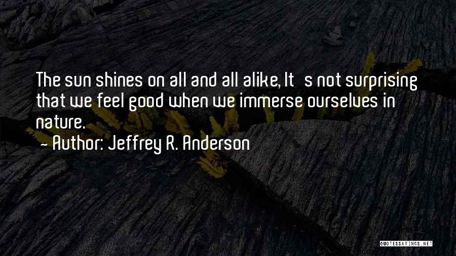 Jeffrey R. Anderson Quotes 97251