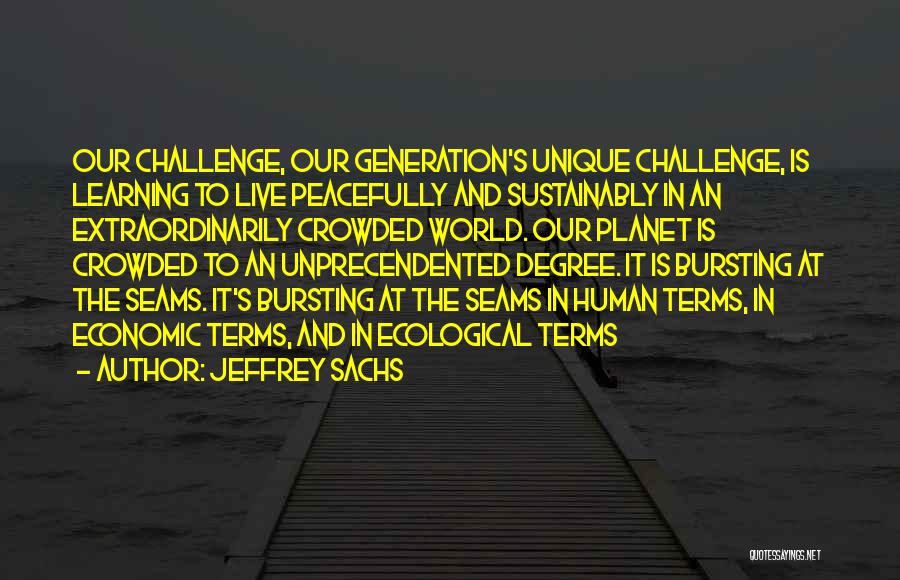 Jeffrey Sachs Quotes 312096