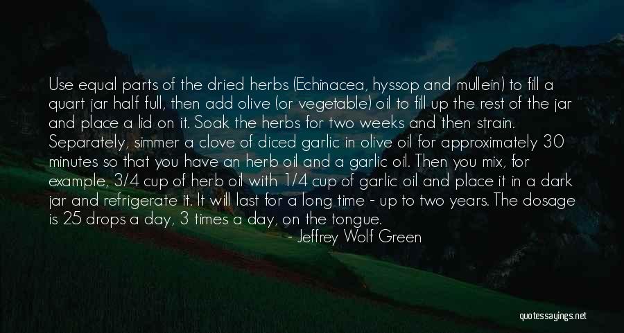 Jeffrey Wolf Green Quotes 959473