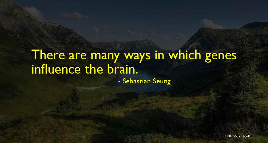 Jeglichen Quotes By Sebastian Seung Jeglichen Quotes By Sebastian Seung