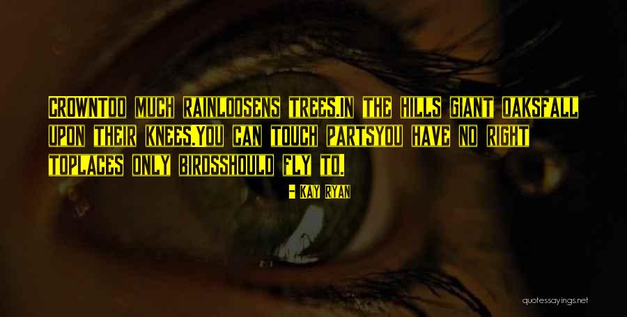 Jehad Baqleh Quotes By Kay Ryan Jehad Baqleh Quotes By Kay Ryan