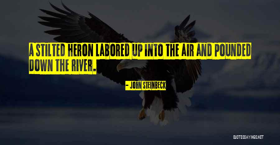 Jelajah In English Quotes By John Steinbeck Jelajah In English Quotes By John Steinbeck