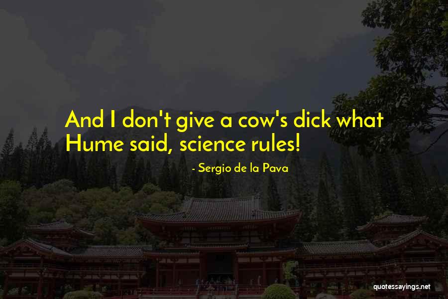 Jelenetek Quotes By Sergio De La Pava Jelenetek Quotes By Sergio De La Pava