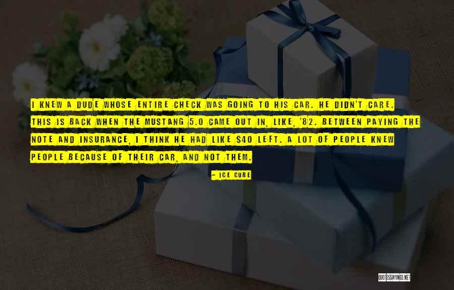 Jelina Fondue Quotes By Ice Cube Jelina Fondue Quotes By Ice Cube