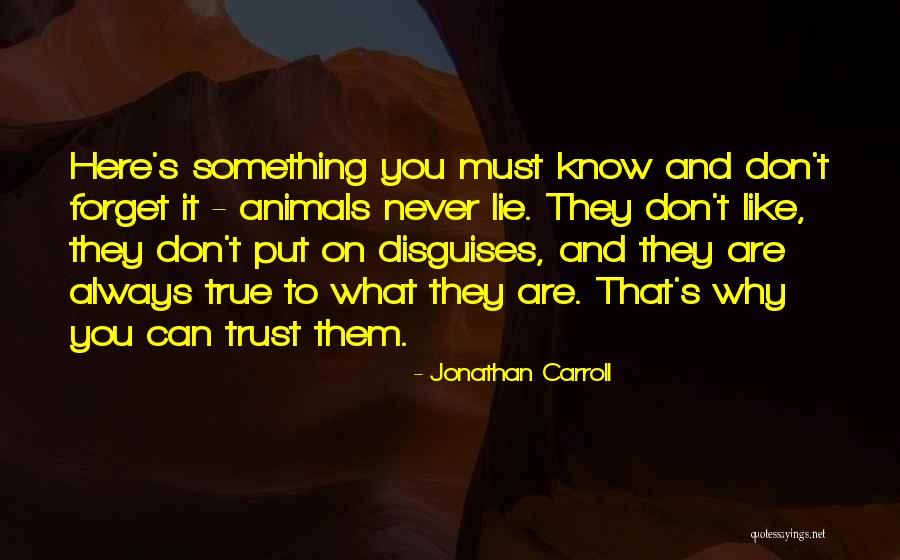 Jelina Fondue Quotes By Jonathan Carroll Jelina Fondue Quotes By Jonathan Carroll