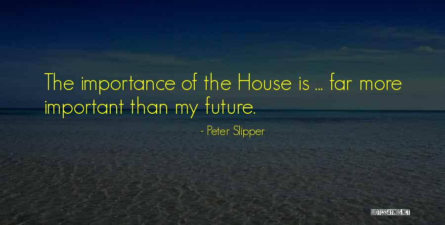 Jelinek Plumbing Quotes By Peter Slipper Jelinek Plumbing Quotes By Peter Slipper