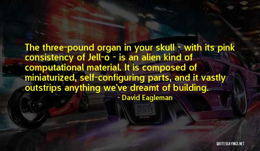 Jell Quotes By David Eagleman Jell Quotes By David Eagleman