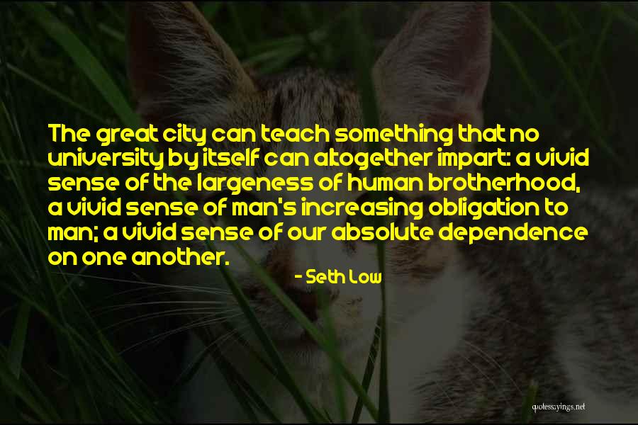 Jellicorse Carrollton Quotes By Seth Low Jellicorse Carrollton Quotes By Seth Low