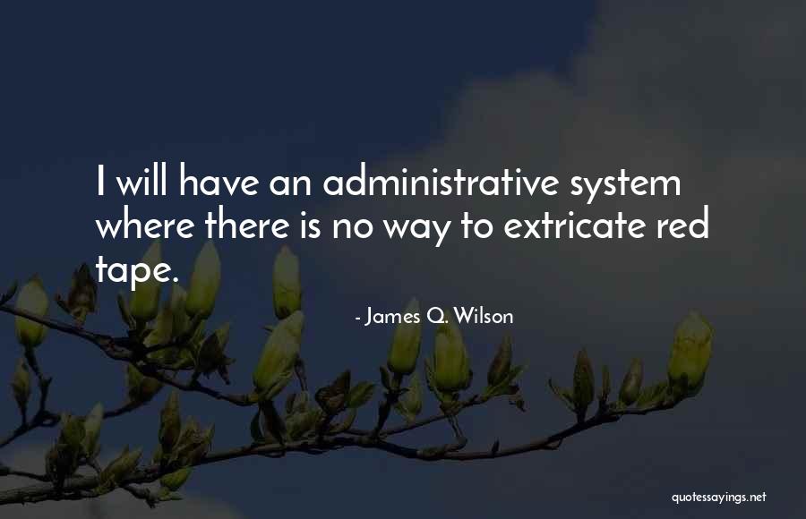 Jellying Point Quotes By James Q. Wilson Jellying Point Quotes By James Q. Wilson