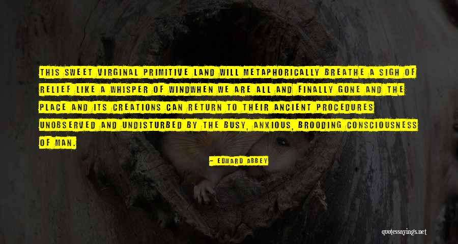 Jelmez Tletek Quotes By Edward Abbey Jelmez Tletek Quotes By Edward Abbey