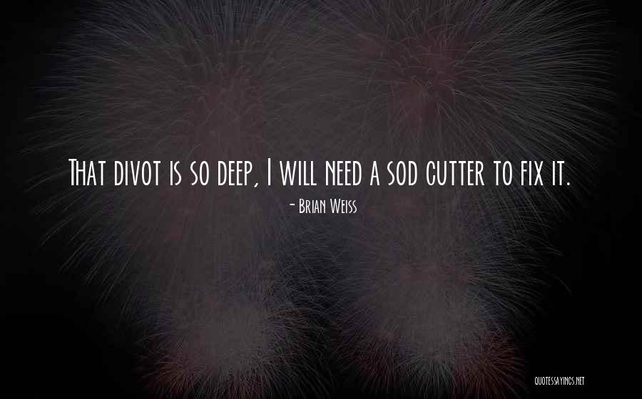 Jem Southam Quotes By Brian Weiss Jem Southam Quotes By Brian Weiss