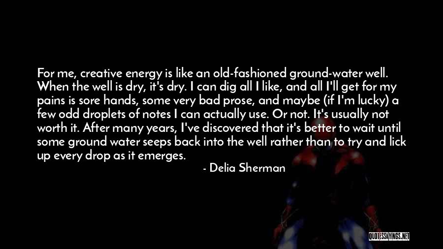 Jemina Bernard Quotes By Delia Sherman Jemina Bernard Quotes By Delia Sherman