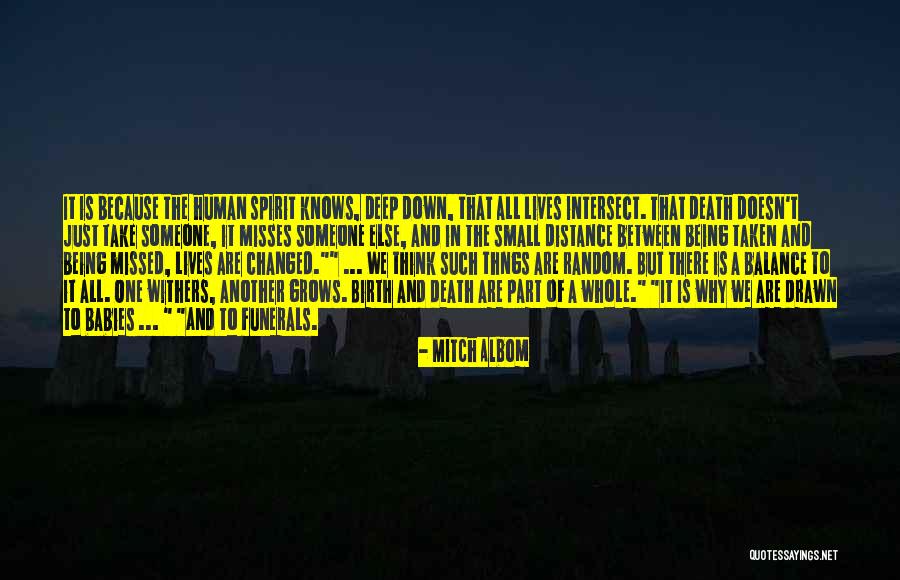 Jems Typical Quotes By Mitch Albom Jems Typical Quotes By Mitch Albom
