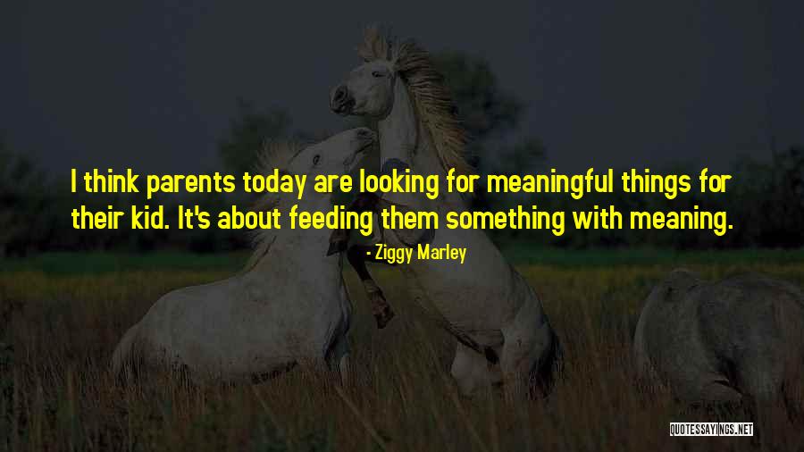 Jenaya Ross Quotes By Ziggy Marley Jenaya Ross Quotes By Ziggy Marley