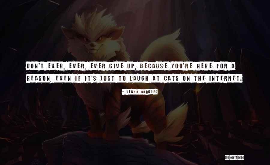 Jenna Marbles Quotes 581207 Jenna Marbles Quotes 581207
