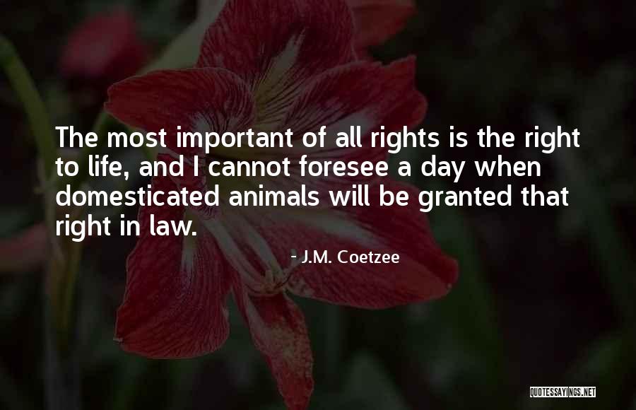 Jennia Gain Quotes By J.M. Coetzee Jennia Gain Quotes By J.M. Coetzee