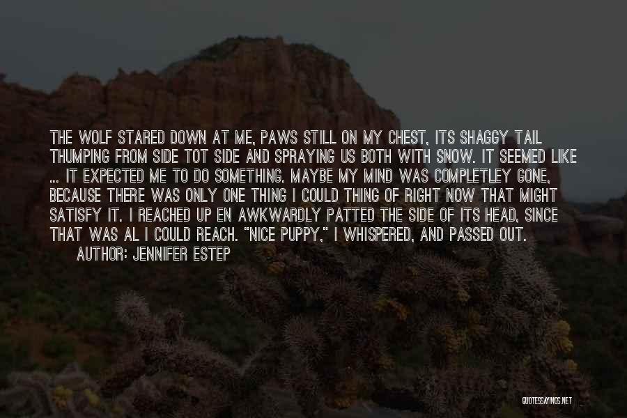 Jennifer Estep Quotes 1431725