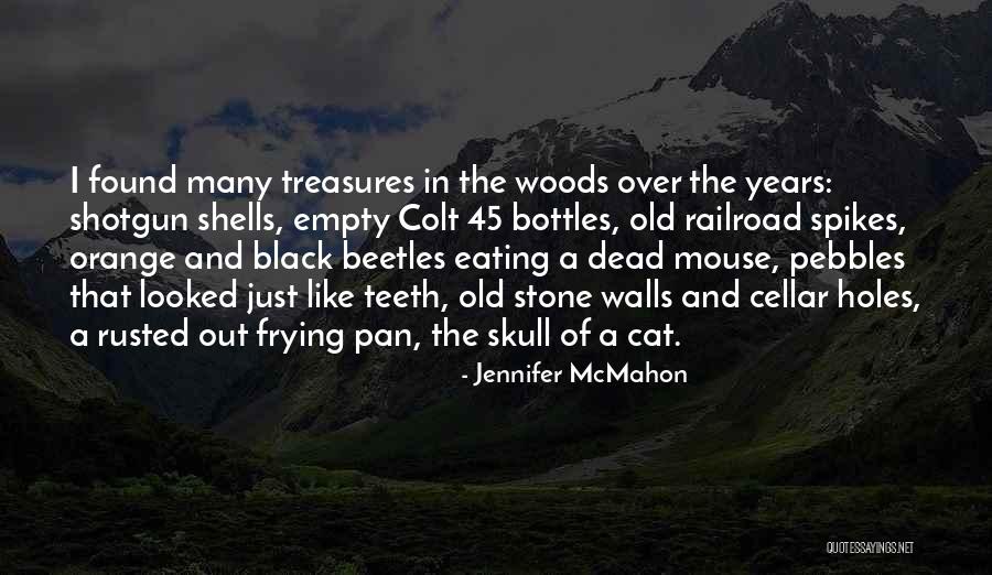 Jennifer McMahon Quotes 1476389