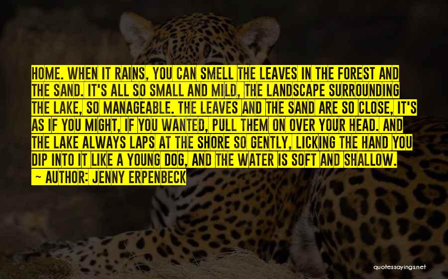 Jenny Erpenbeck Quotes 2200285