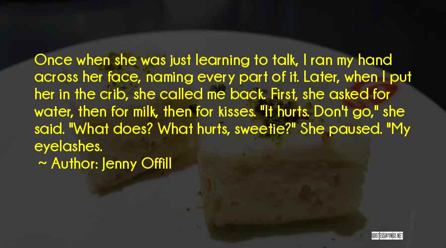 Jenny Offill Quotes 147596