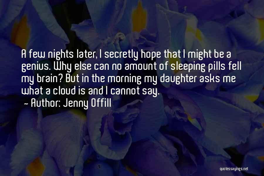 Jenny Offill Quotes 170095