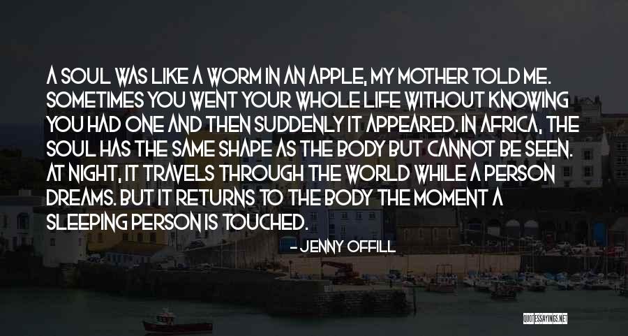 Jenny Offill Quotes 1928225