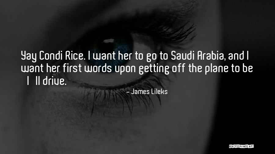Jennyanydots Creator Quotes By James Lileks Jennyanydots Creator Quotes By James Lileks