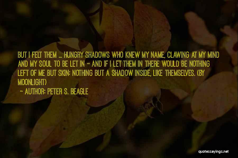 Jenzano Welder Quotes By Peter S. Beagle