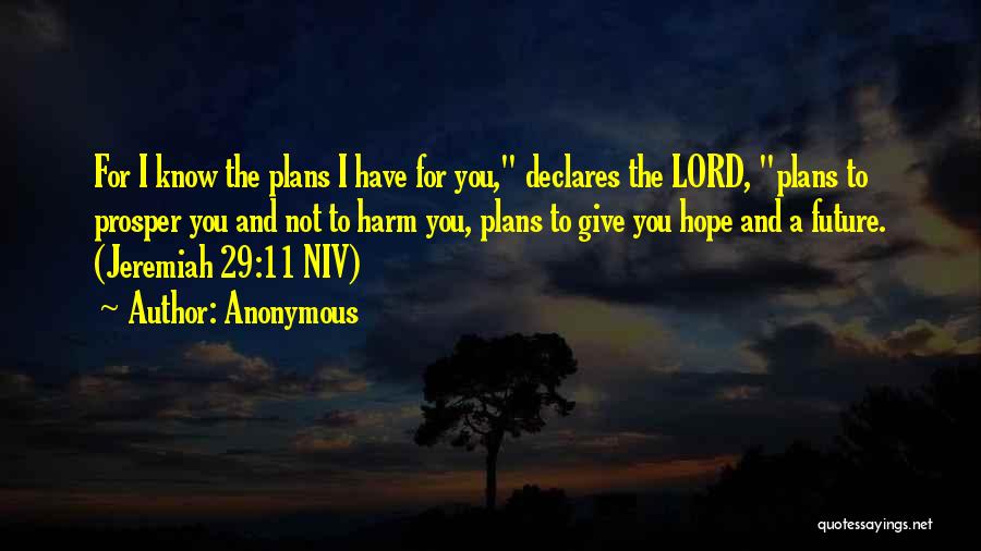 Jeremiah 29 11 Quotes By Anonymous