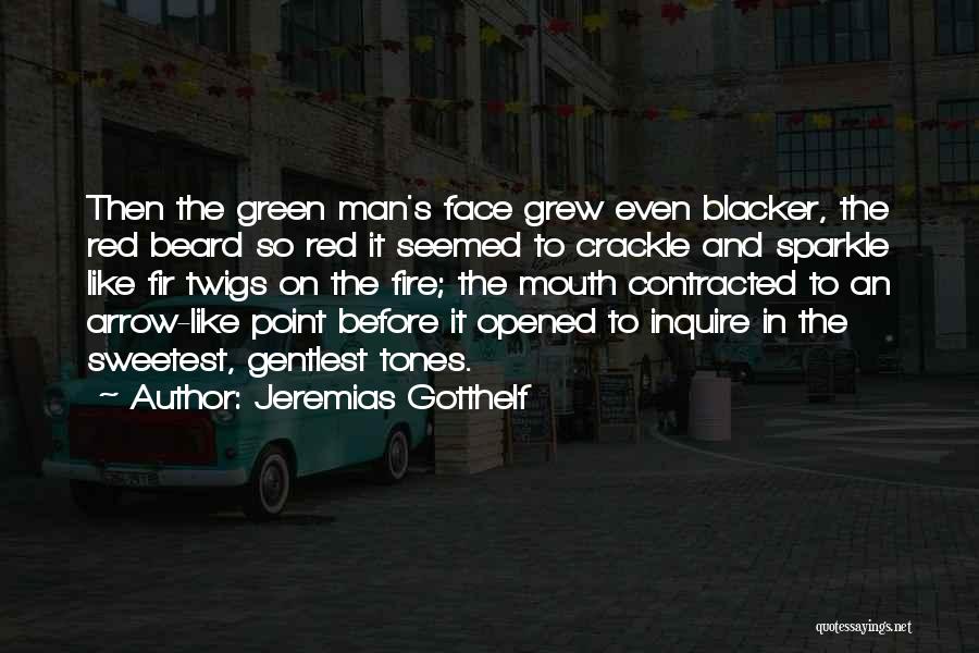 Jeremias Gotthelf Quotes 1829335