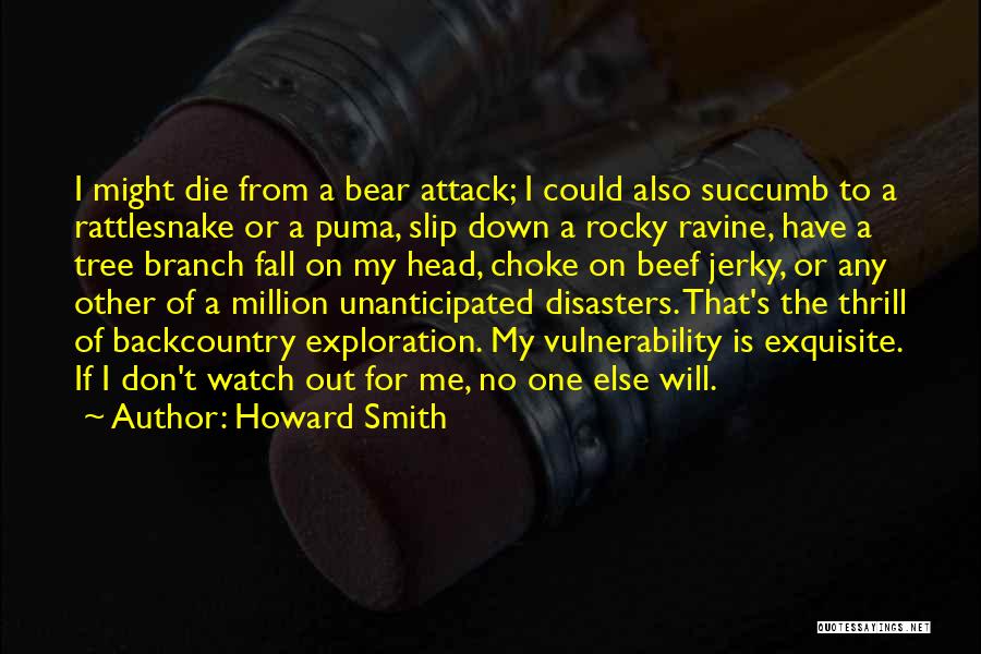 Jerky Quotes By Howard Smith