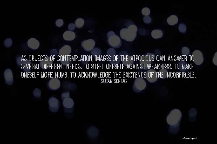 Jermel Thomas Quotes By Susan Sontag Jermel Thomas Quotes By Susan Sontag